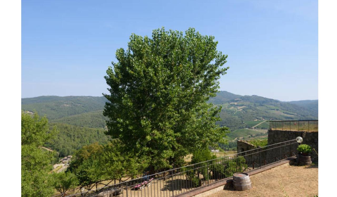 Camere E Appartamenti Baldini Romanita Рада ин Шанти Экстерьер фото